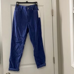 Urban Outfitters BDG Blue Cords